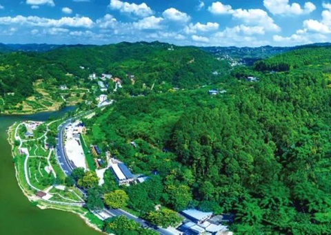 包管重大项目加速落地！成都会构建用地用林联动审查机制