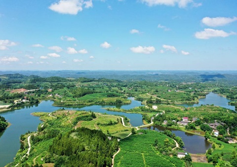 3.25亿吨、估值38.41亿元   四川有这些生态系统碳汇“家底”