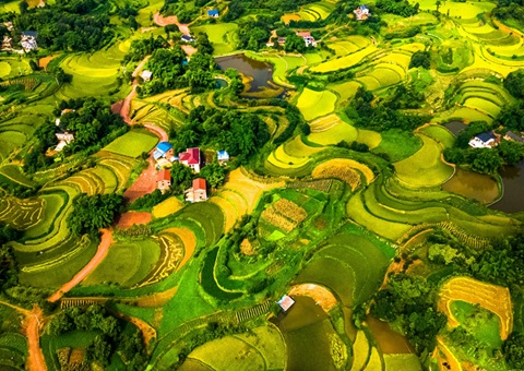 @农民朋侪 2025年重庆市耕地地力；そ蛱苹戳