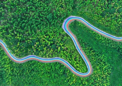 组合供应出新招，竹海收益节节高——桃江县“桃花江竹海”自然资源资产组合供应推动生态产品价值实现案例