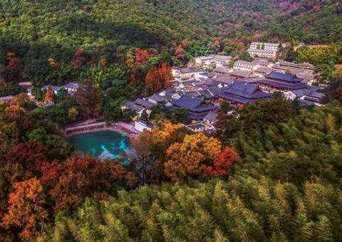 浙江：森林公园生态旅游怎样高质量生长？